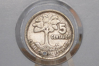 Rarer 1955 Silver Guatemala 5 Centavos - Great Condition, Holed - Republic of Guatemala Coin - Guatemala Quetzal