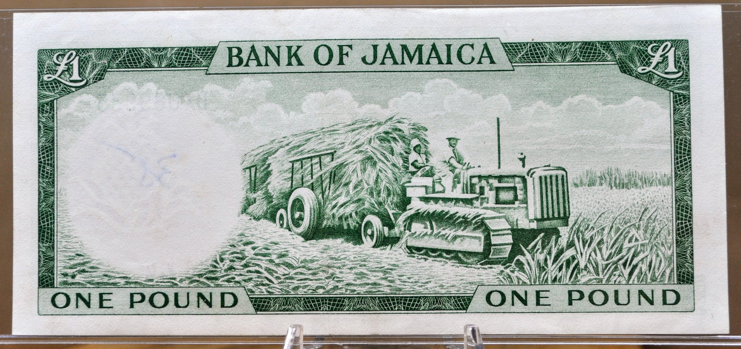 1964 Bank of Jamaica 1 Pound Banknote - Rarer Acting Governor Title - Queen Elizabeth II - 1964 British Jamaica One Pound Note - P#51Cc
