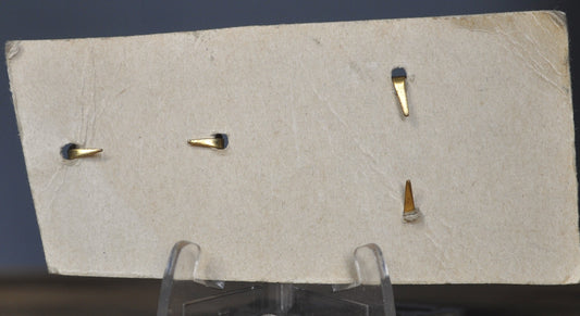 Pair of Two Gold Tone Emblems - Fleur-De-Lis and Golden Crown Pair of Emblems - Antique Set of Two Gold-Toned Emblems On Cardboard Base Numbered