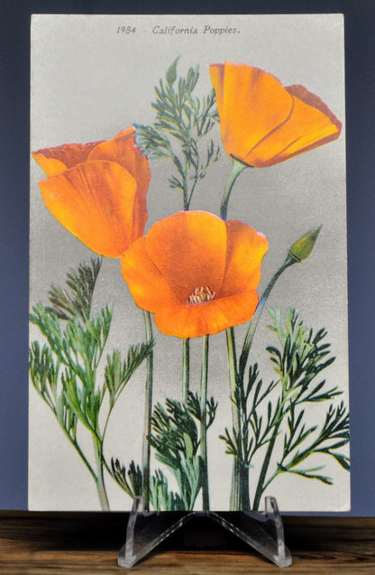 1910s Edward H. Mitchell California Poppies Illustration Postcard - Botanical Series, No. 1984 - Antique California Poppies Drawing Postcard