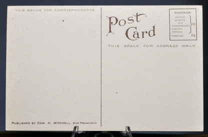 1910s Edward H. Mitchell California Poppies Illustration Postcard - Botanical Series, No. 1984 - Antique California Poppies Drawing Postcard