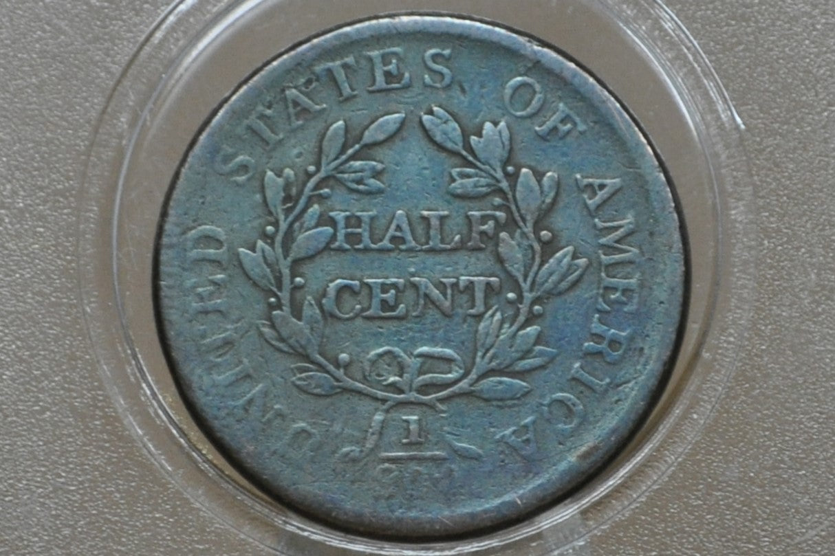 1806 Half Cent Small 6 Stemless - Fine+ - 1806 Draped Bust Half Cent Small Six No Stems - Great Collection Addition