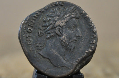 Large Bronze Sestertius "Securitas Publica" Seated Figure with Globe - Ancient Roman Coin: Thick-Flan Sestertius featuring Laureate Head & Bearded Profile
