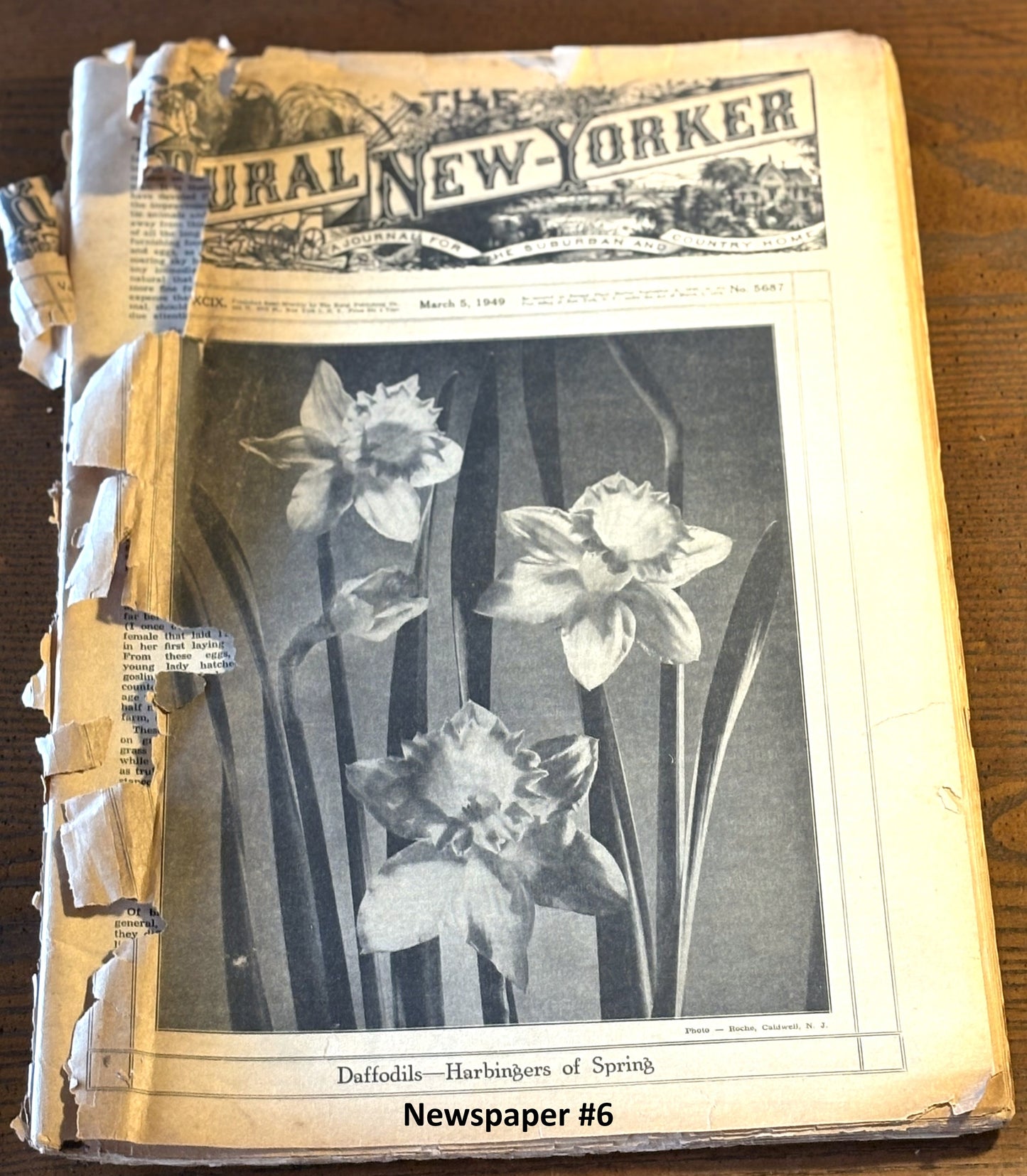 Rural New Yorker 1940s Issue Pick Your Newspaper! - 1948-1949 Rural New Yorker Issue Variety to Choose From