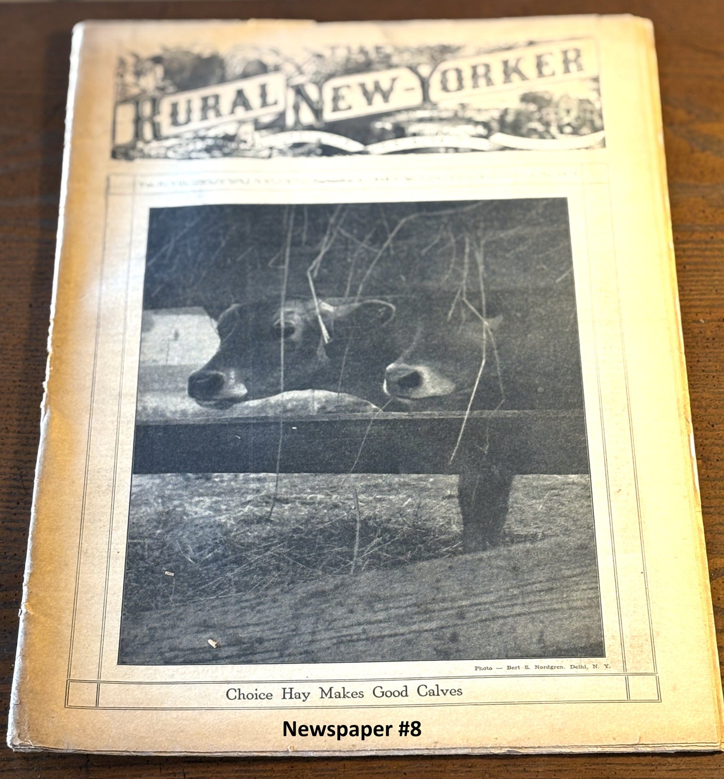 Rural New Yorker 1940s Issue Pick Your Newspaper! - 1948-1949 Rural New Yorker Issue Variety to Choose From