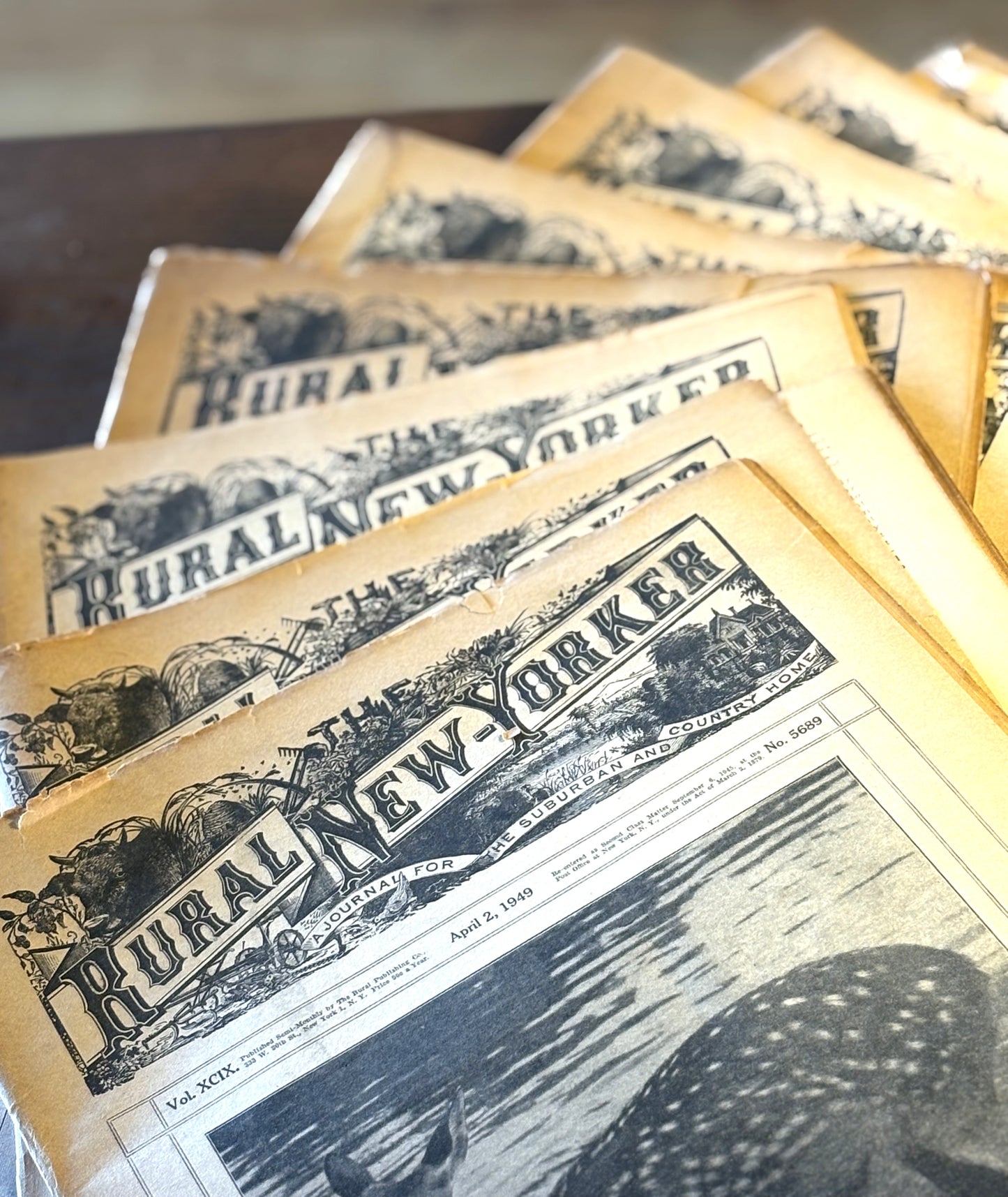 Rural New Yorker 1940s Issue Pick Your Newspaper! - 1948-1949 Rural New Yorker Issue Variety to Choose From