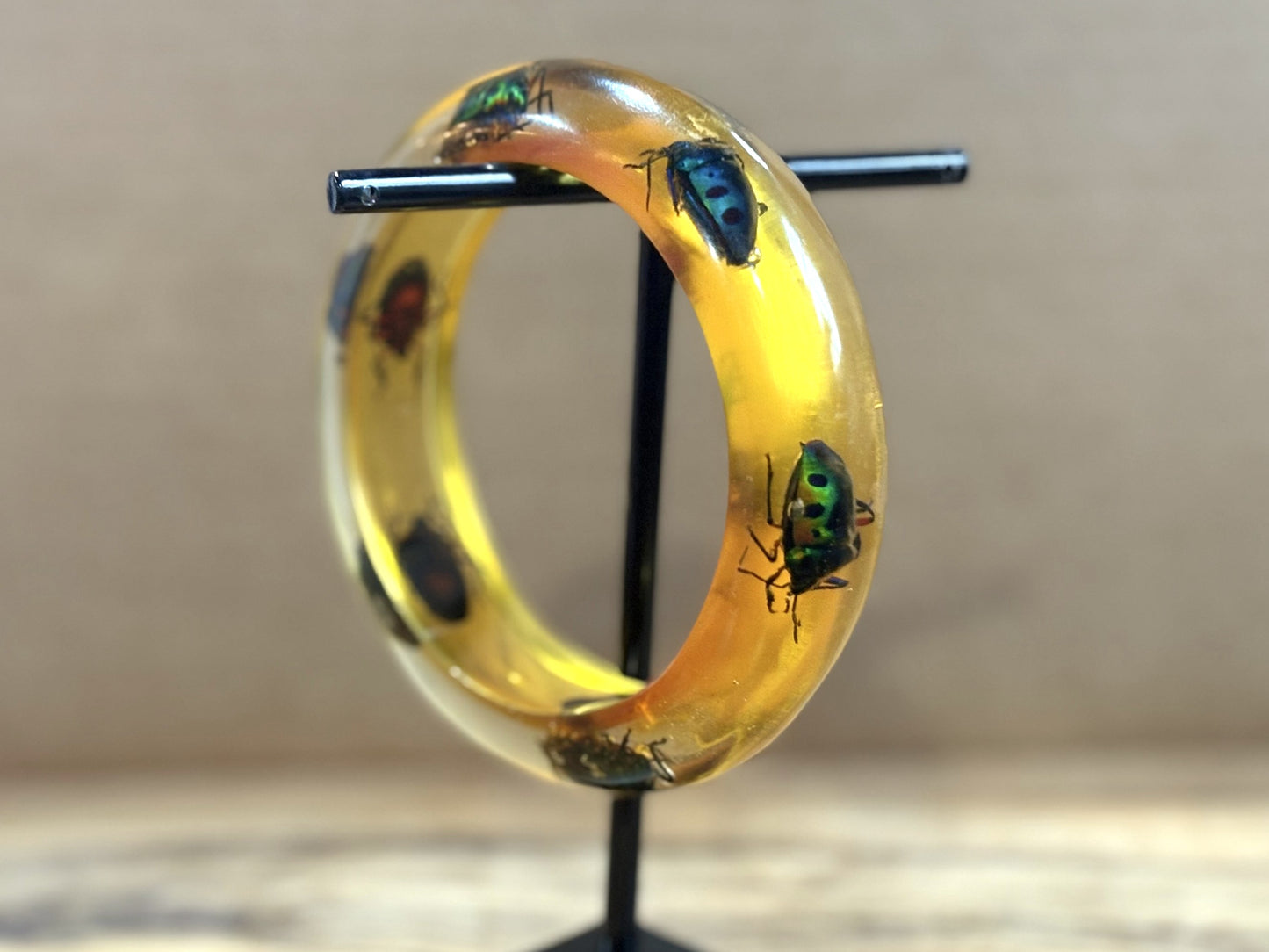 Jewel Beetle Insect Bangle Lucite Bracelet - Antique Chrysocoris stollii Entomology Cuff Bracelet