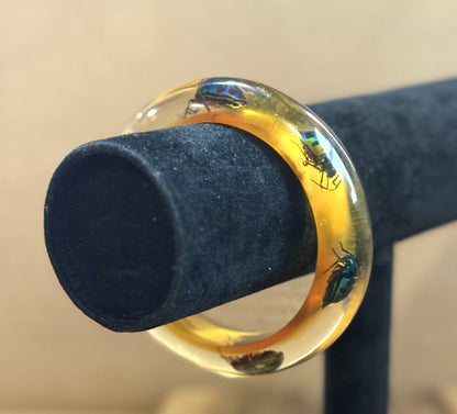 Jewel Beetle Insect Bangle Lucite Bracelet - Antique Chrysocoris stollii Entomology Cuff Bracelet