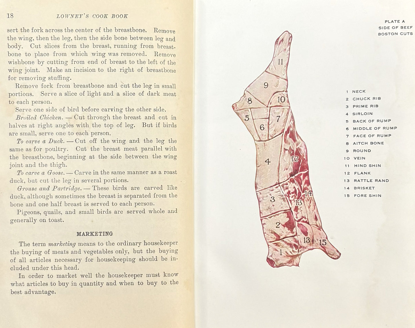 Vintage 1921 Illustrated Lowney's Cook Book - Rare 1920s Lowneys Hard Cover CookBook