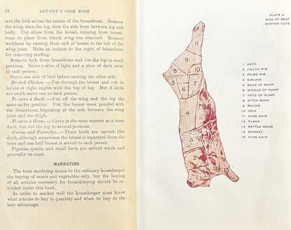 Vintage 1921 Illustrated Lowney's Cook Book - Rare 1920s Lowneys Hard Cover CookBook