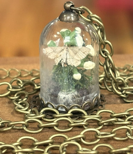 Real Insect Oddity Necklace Micro Moth Terrarium - Micro Moth Insect Terrarium Brass Necklace
