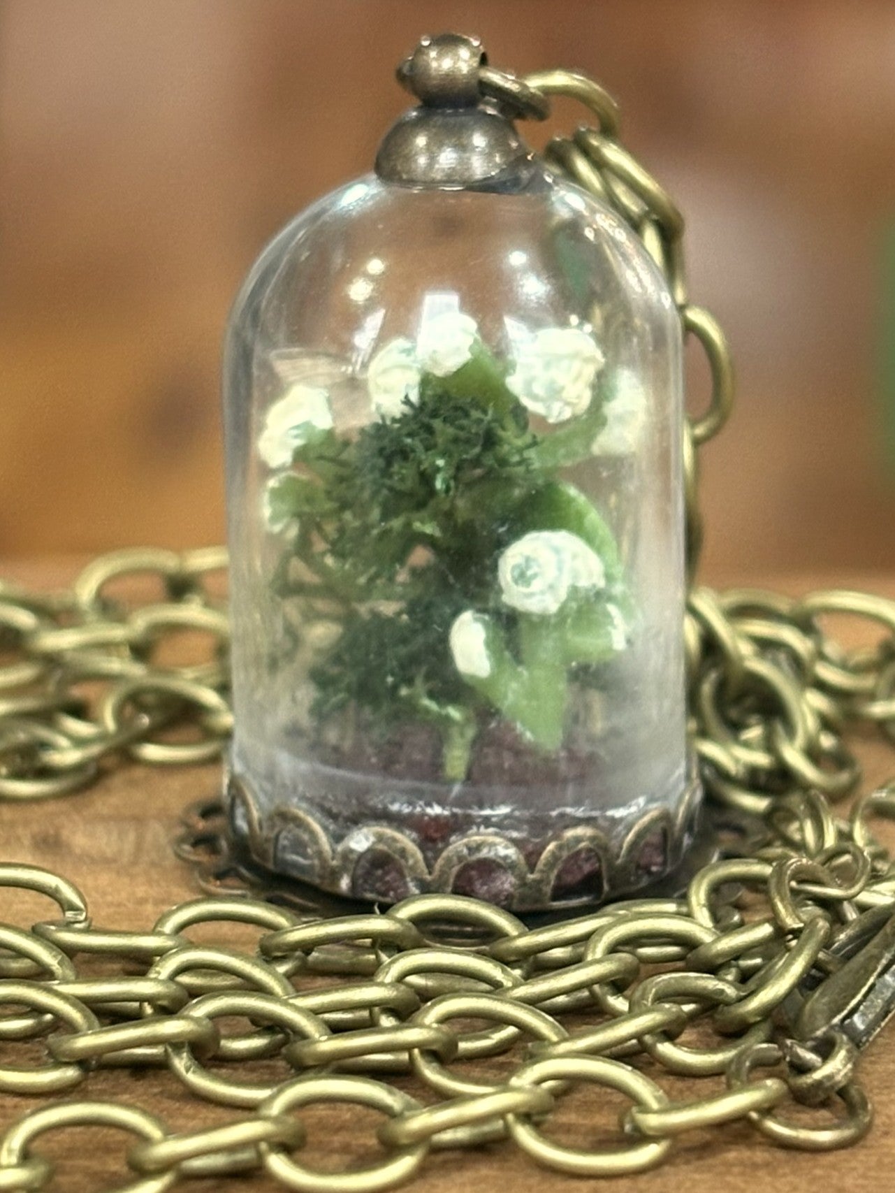 Real Insect Oddity Necklace Micro Moth Terrarium - Micro Moth Insect Terrarium Brass Necklace