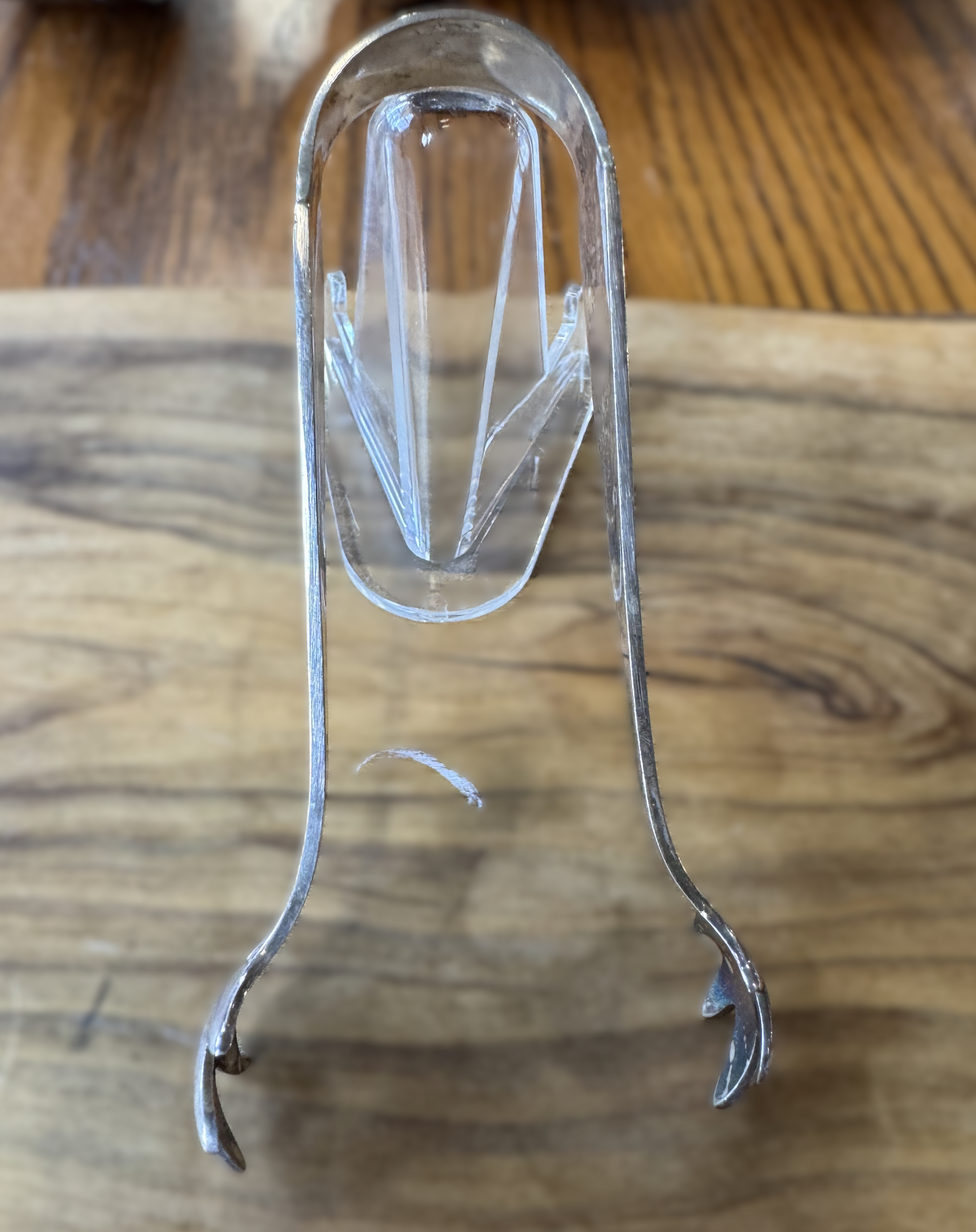 Silverplated Bird Claw Tongs - Ice Cube/Sugar Tongs - 4.17 Inches