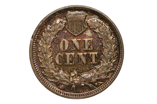 1902 Proof Indian Head Accidentally Circulated - Proof Indian Head 1902 Circulated