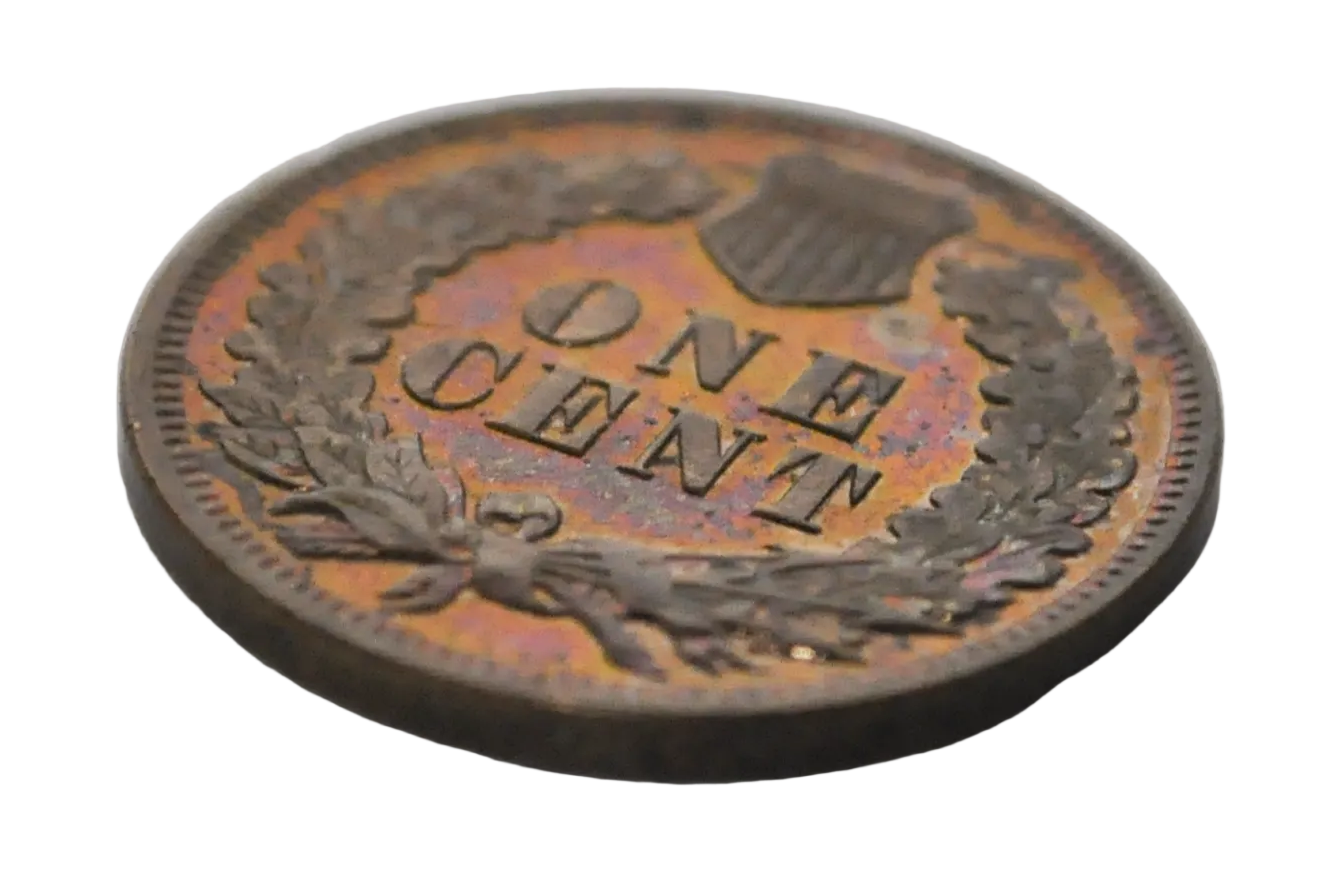 1902 Proof Indian Head Accidentally Circulated - Proof Indian Head 1902 Circulated