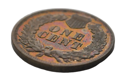 1902 Proof Indian Head Accidentally Circulated - Proof Indian Head 1902 Circulated