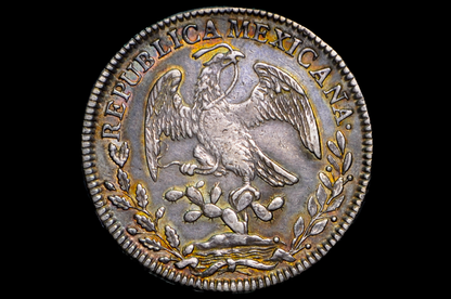 1834 Silver 8 Reales Mexico Mo Ml - Choice AU, Beautiful Luster & Toning - Rarer - Mexican Eight Reales Silver 1834