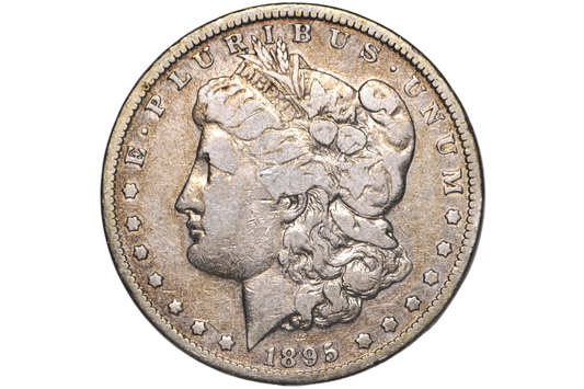 An 1895 Morgan silver dollar coin in a clear plastic grading holder, showing the Liberty head profile with 'E PLURIBUS' and '1895' visible.