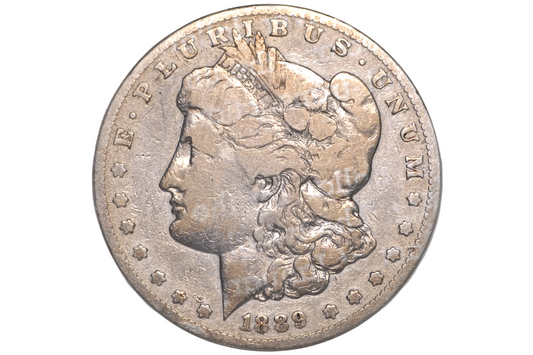 An 1889 Morgan Dollar silver coin inside a clear plastic protective holder, showing the detailed profile of Lady Liberty on a light gray background.
