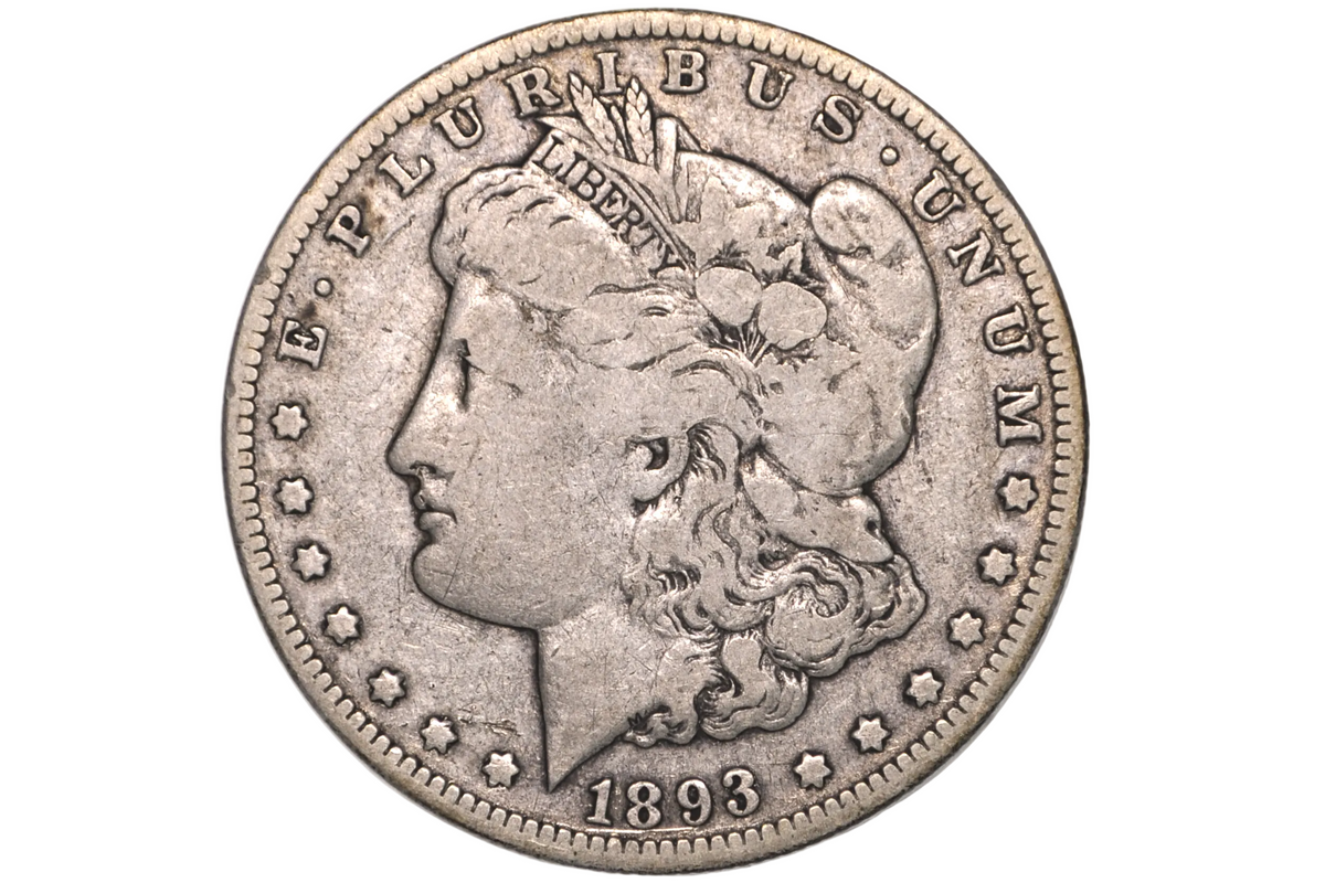 An 1893 Morgan Dollar silver coin in a clear plastic protective holder, showing the detailed profile of Liberty on the coin face against a white background.