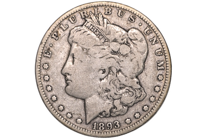 An 1893 Morgan Dollar silver coin in a clear plastic protective holder, showing the detailed profile of Liberty on the coin face against a white background.