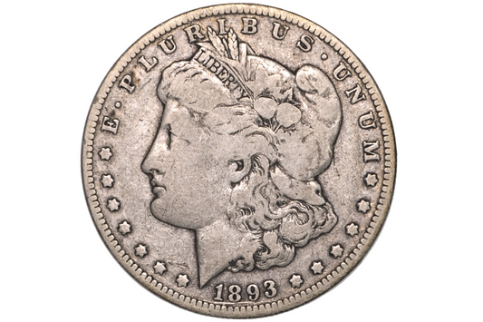 An 1893 Morgan Dollar silver coin in a clear plastic protective holder, showing the detailed profile of Liberty on the coin face against a white background.