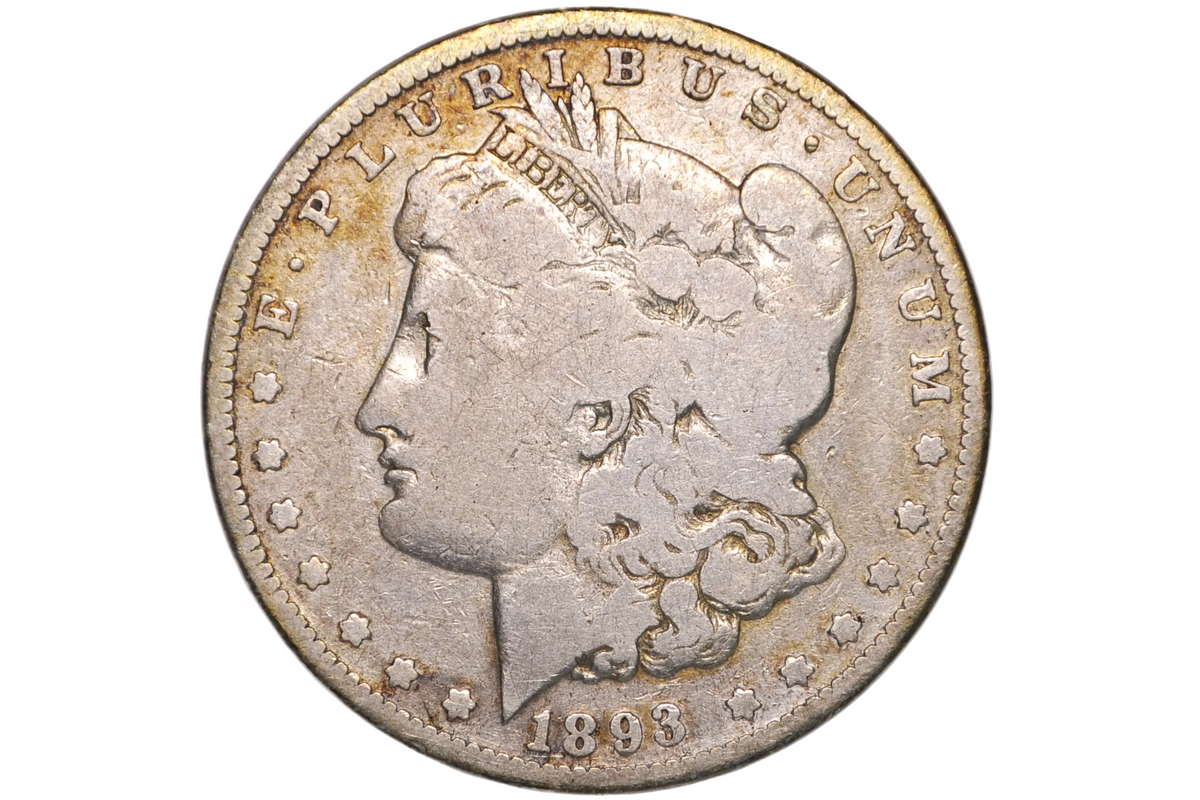 An 1893 United States Morgan Dollar silver coin, showing the profile of Liberty, displayed inside a clear plastic protective holder.