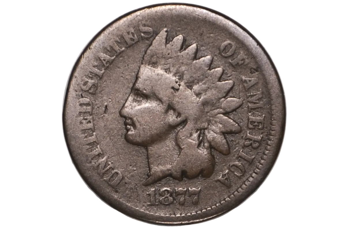 An 1877 Indian Head penny coin inside a clear plastic protective capsule, showing the profile of a Native American with a feathered headdress and the text 'UNITED STATES OF AMERICA' around the edge.