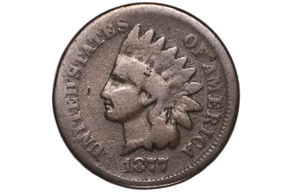 An 1877 Indian Head penny coin inside a clear plastic protective capsule, showing the profile of a Native American with a feathered headdress and the text 'UNITED STATES OF AMERICA' around the edge.