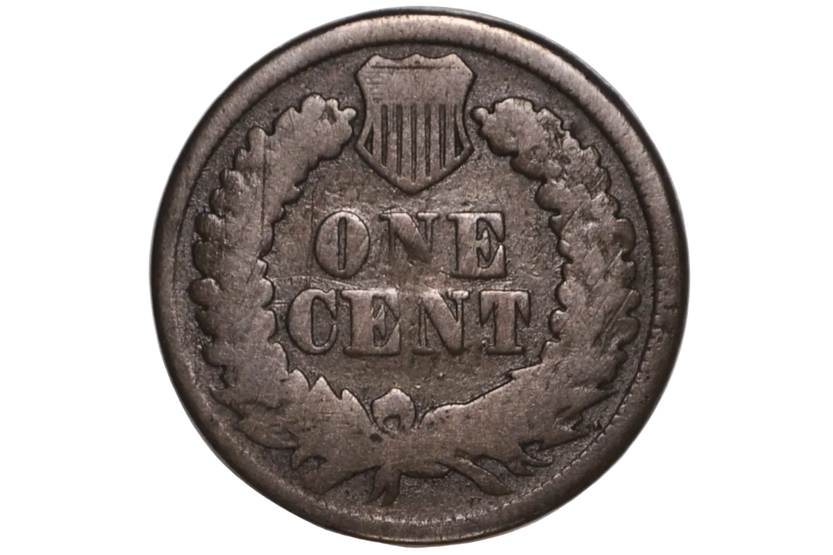 A vintage US one-cent coin with a wreath and shield emblem, displayed inside a clear plastic grading holder on a light gray background.