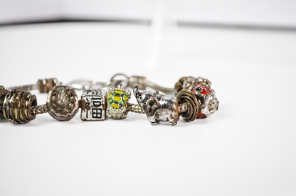 Pandora Inspired Charm Bracelets - Choose by Bracelet! - Pandora Inspired Jewelry - Differing Designs - Varying Charms