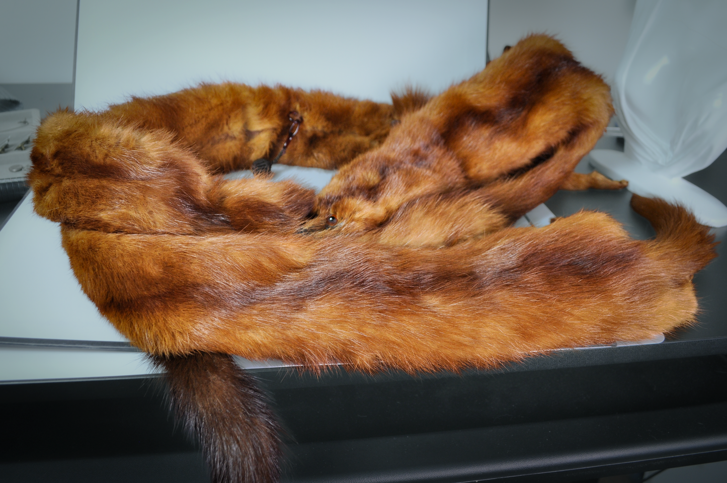 4 Mink Scarf/Shawl - Real Mink Fur - Taxidermized Mink Winter Wear