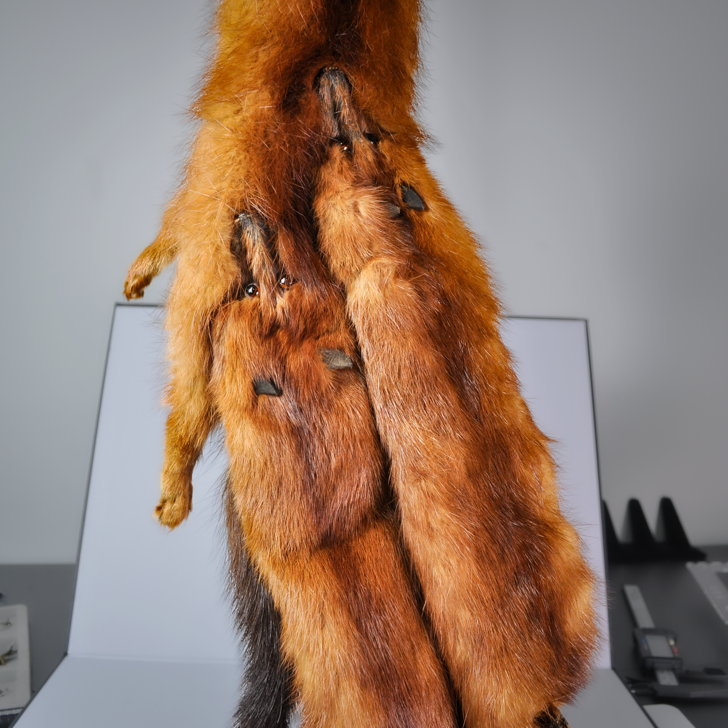 4 Mink Scarf/Shawl - Real Mink Fur - Taxidermized Mink Winter Wear