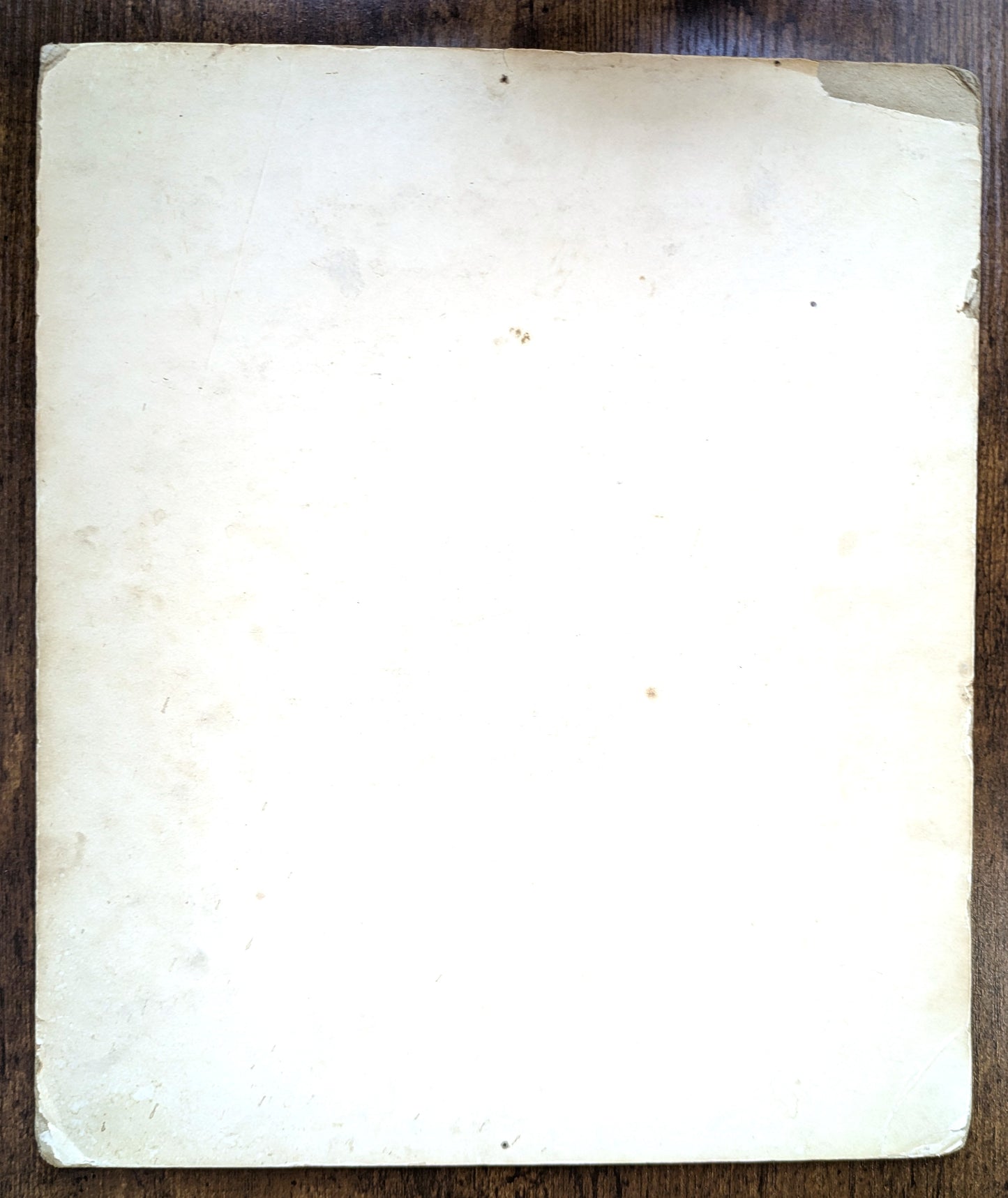 Horse Racing History Cimanyd Narragansett - Cimanyd Wins the Narragansett Race November 28th, 1967