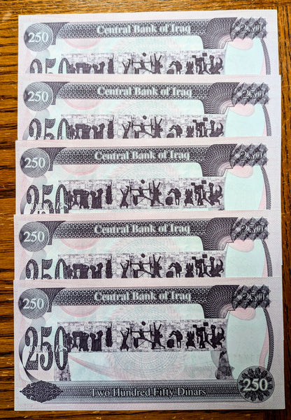 1995 Iraq 250 Dinars Note Consecutive Serial Set - Saddam Hussein Notes - Uncirculated (UNC) - 1995 Iraqi Two Hundred Fifty Dinars - P#85a