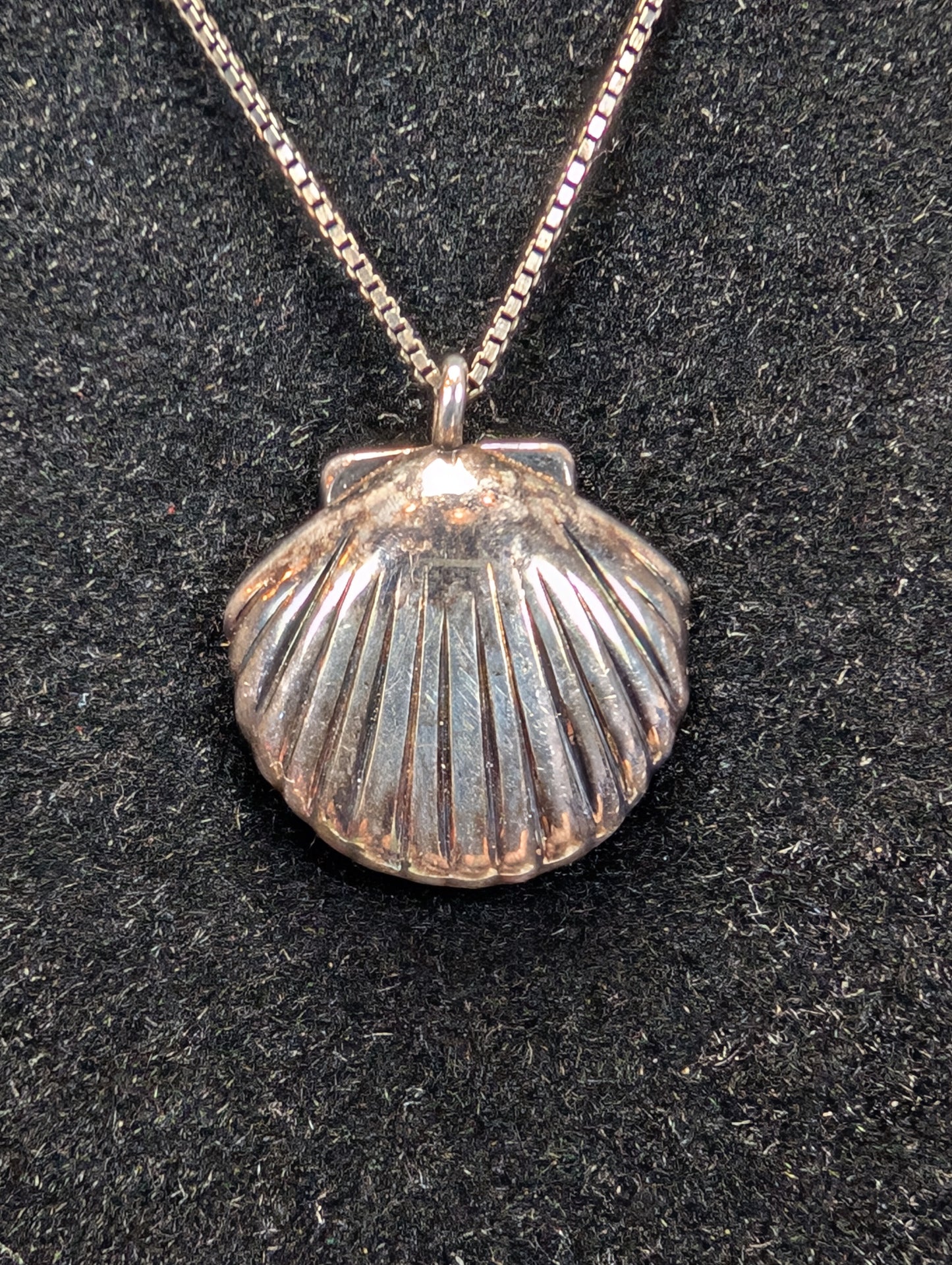 Sterling Silver Salty Cali Clamshell Necklace - 18 Inches - Stamped and Tested Sterling Silver - Seashell Jewelry
