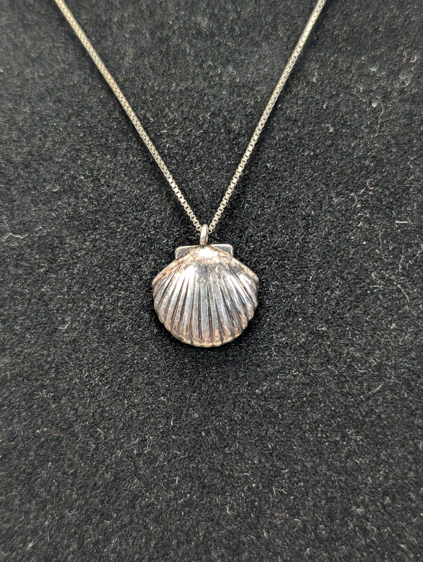 Sterling Silver Salty Cali Clamshell Necklace - 18 Inches - Stamped and Tested Sterling Silver - Seashell Jewelry