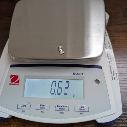 Victorian Sterling Dog Charm - Hand Engraved - Love Token Style - 925 Silver