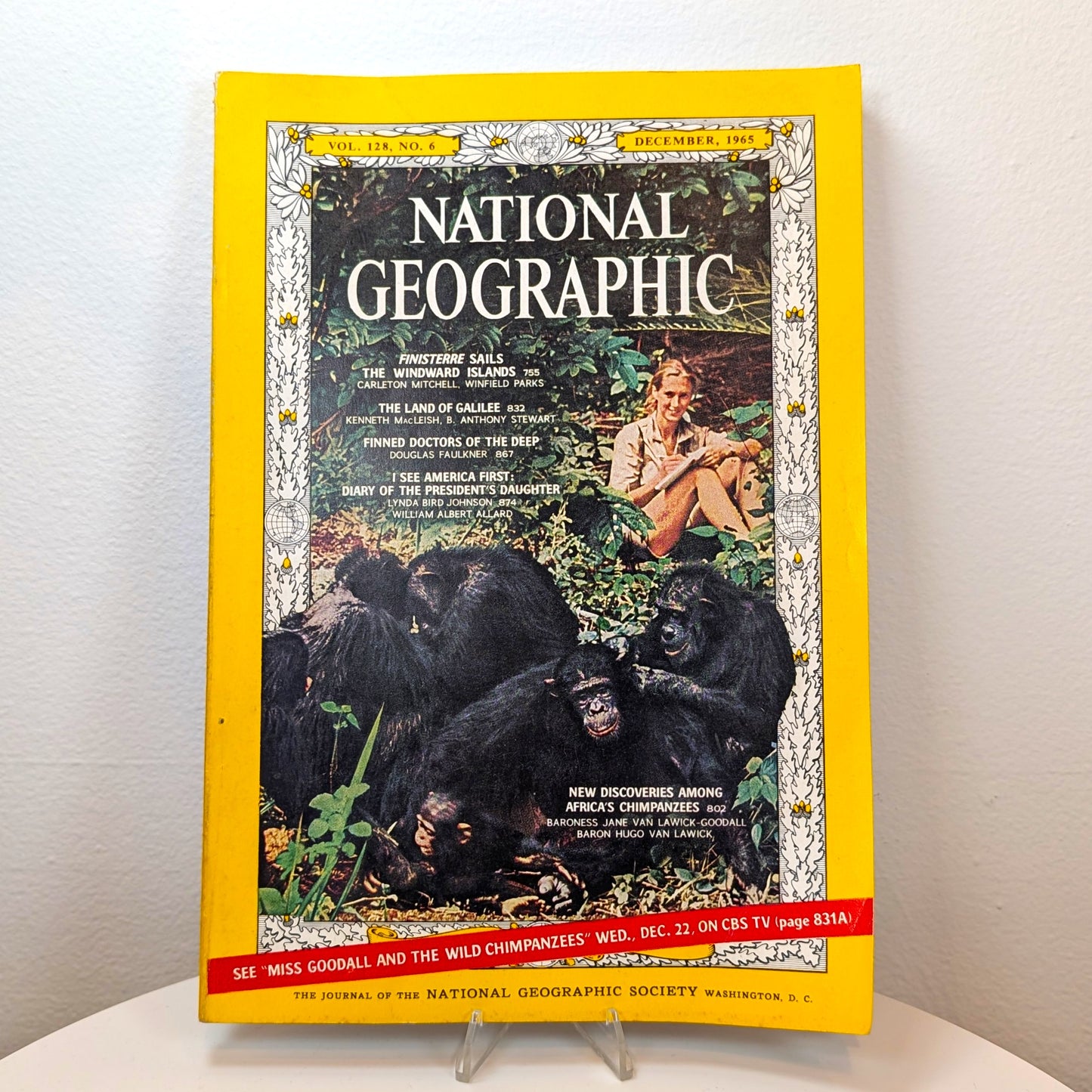 Jane Goodall National Geographic December 1965 Issue Chimpanzee