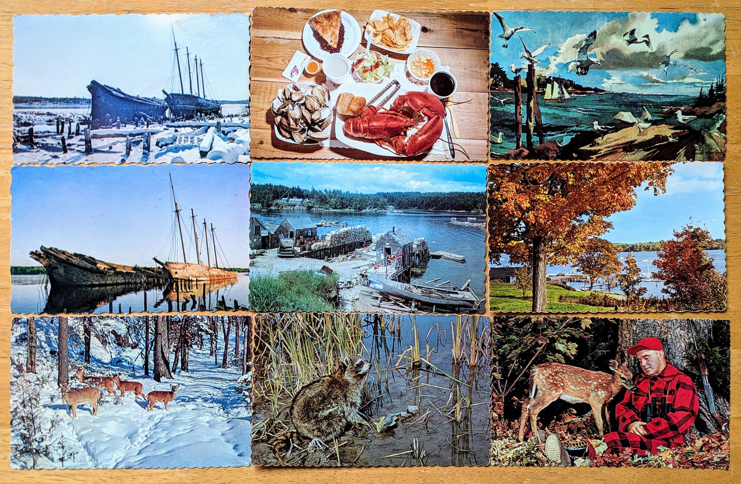 Vintage 1960s-70s Maine Tourist Scalloped Postcards - Eastern Illustrating Co. - 37 Vintage Maine Postcards To Choose From!!