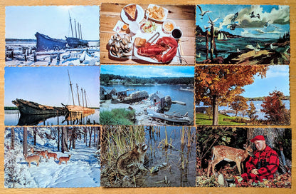Vintage 1960s-70s Maine Tourist Scalloped Postcards - Eastern Illustrating Co. - 37 Vintage Maine Postcards To Choose From!!