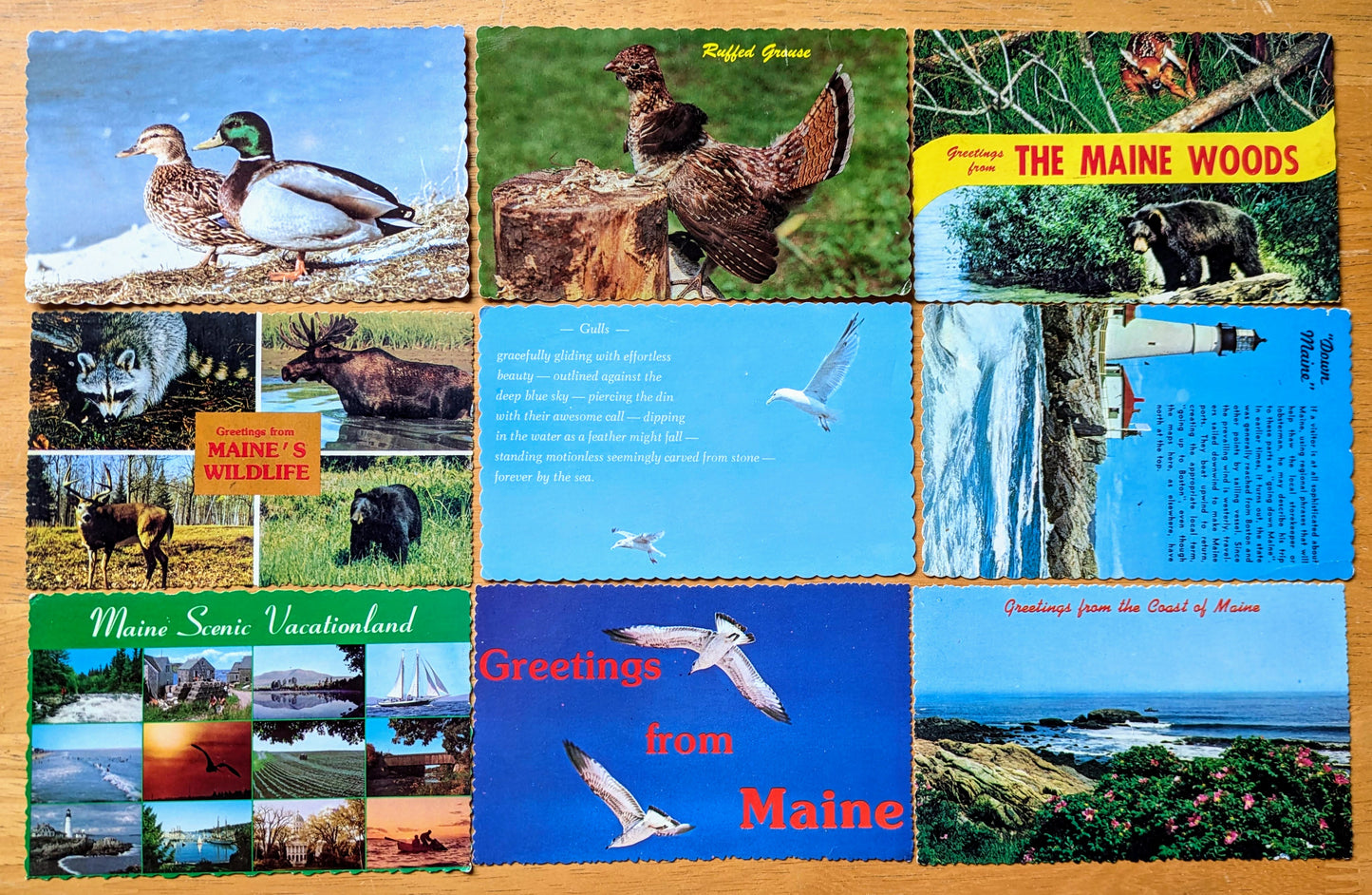 Vintage 1960s-70s Maine Tourist Scalloped Postcards - Eastern Illustrating Co. - 37 Vintage Maine Postcards To Choose From!!