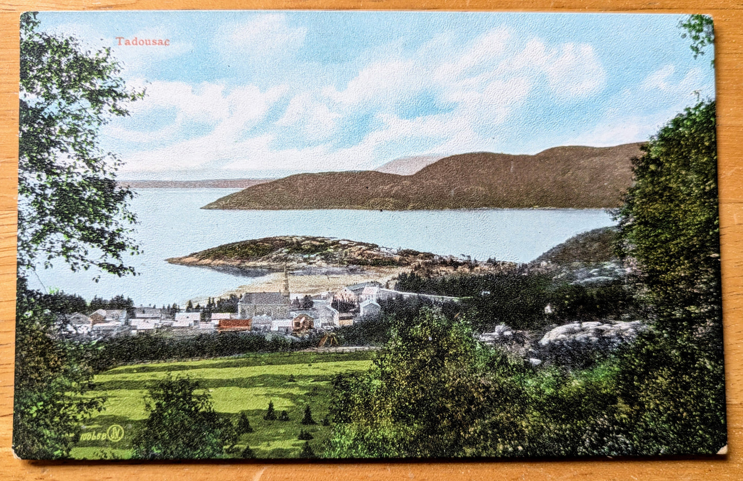 1900s Tadousac Quebec Canada Postcard - Valentine & Sons - Antique Color Lithograph Tadoussac Village Canadian Postcard