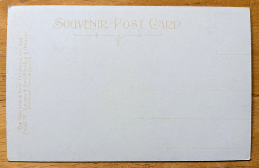 1900s Among the Thousand Islands, St. Lawrence River Canada Postcard - Valentine & Sons - Antique Color Lithograph 1000 Islands Canadian Postcard