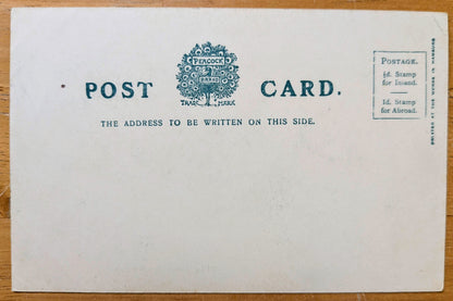 1900s Trinity Church, The Chancel, Stratford-on-Avon Postcard - Peacock Brand Postcard - Antique Stratford upon Avon English Postcard