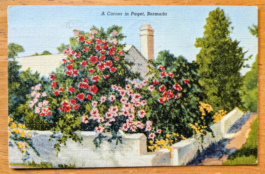 1949 A Corner in Paget, Bermuda Linen Postcard - Chromo Lithograph - Antique Bermuda Floral Textured Postcard