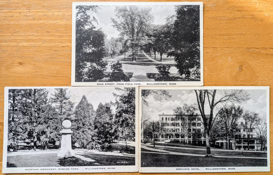 Lot of 3 1920s Williamstown Massachusetts Black and White Postcards - Albertype Co. - Antique B+W Photograph Williamstown MA Postcards
