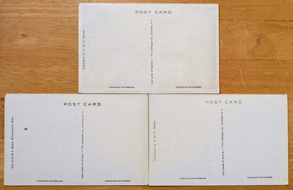 Lot of 3 1920s Williamstown Massachusetts Black and White Postcards - Albertype Co. - Antique B+W Photograph Williamstown MA Postcards