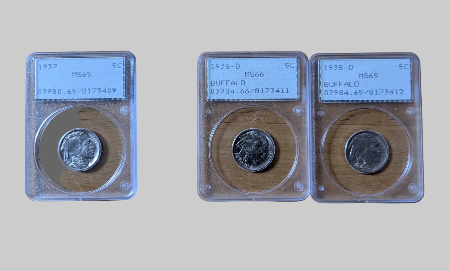 Vintage PCGS Rattler Buffalo Nickel Trio – Near-Consecutive Certs (1937 MS65 / 1938-D MS66 & MS65) – Original Submission Lot