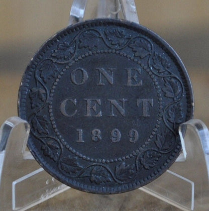 1899 Canadian One Cent - XF (Extremely Fine) Condition - Queen Victoria - One Cent Canada 1899 Large Cent - 1899 One Cent